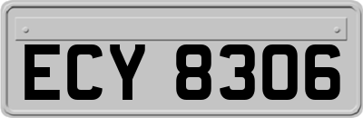 ECY8306