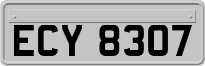 ECY8307