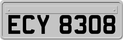 ECY8308