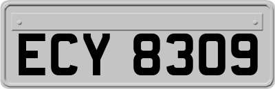 ECY8309