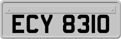 ECY8310