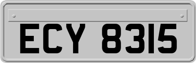 ECY8315