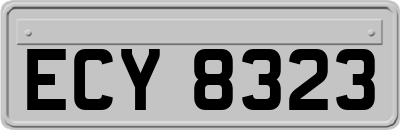 ECY8323