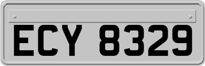 ECY8329