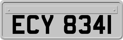 ECY8341
