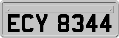 ECY8344