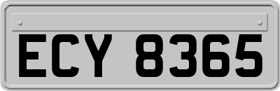 ECY8365