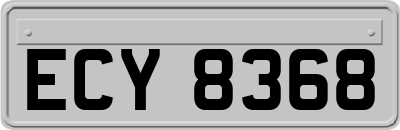 ECY8368