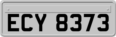 ECY8373