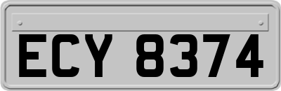 ECY8374