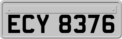 ECY8376