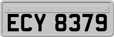 ECY8379
