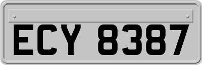 ECY8387