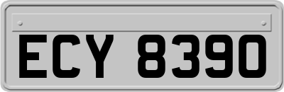 ECY8390
