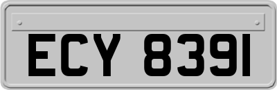 ECY8391