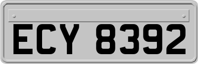 ECY8392