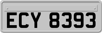ECY8393