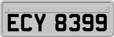 ECY8399