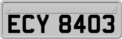 ECY8403