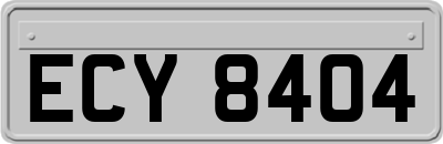 ECY8404