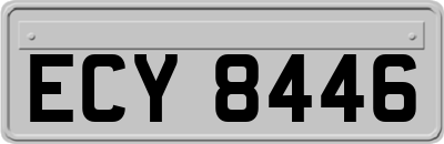 ECY8446