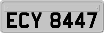 ECY8447