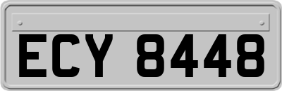 ECY8448