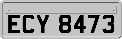 ECY8473