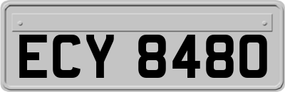 ECY8480