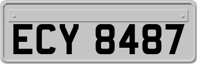 ECY8487