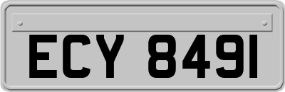 ECY8491