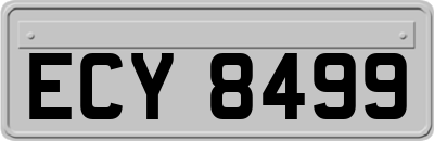 ECY8499