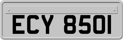 ECY8501
