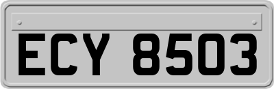 ECY8503
