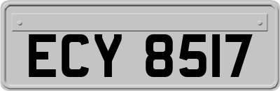 ECY8517