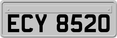 ECY8520