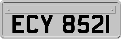 ECY8521