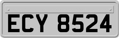 ECY8524