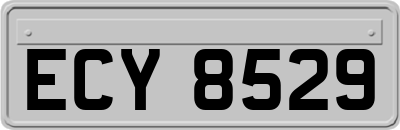 ECY8529