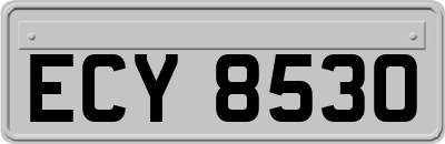 ECY8530