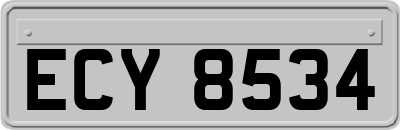 ECY8534