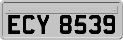 ECY8539