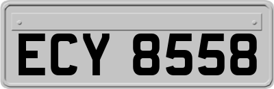 ECY8558