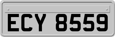 ECY8559