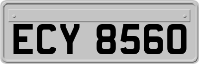 ECY8560