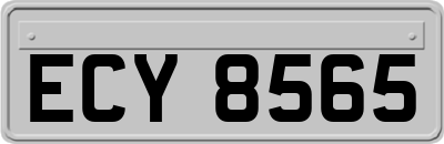 ECY8565