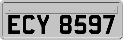 ECY8597