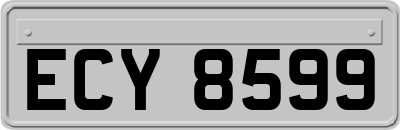 ECY8599