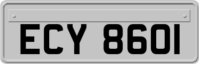 ECY8601