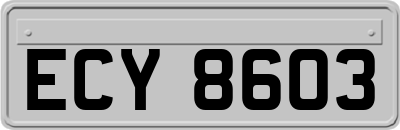 ECY8603
